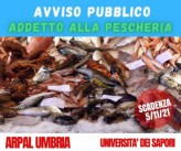 Avviso formazione-Arpal-Università dei Sapori. Percorso formativo per addetto alla Pescheria (Scad. 5/11/21)